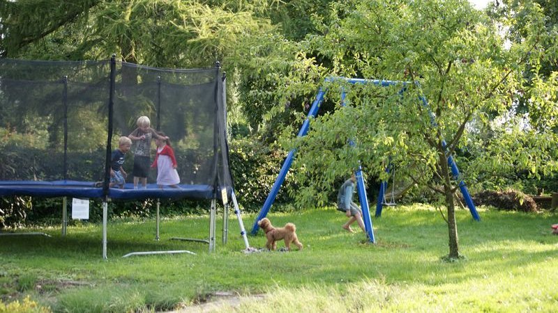 Vier Kinder spielen im Garten des Hotel Schwedi. Drei Kinder sind auf dem Trampolin, ein weiteres Kind schaukelt. Ein kleiner Hund schaut in Richtung der Kindern auf dem Trampolin.