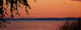 Abendstimmung am Bodensee mit orangefarbenem Himmel, ruhigem Wasser und silhouettierten Uferpflanzen – stimmungsvolles Naturerlebnis beim Hotel Schwedi.