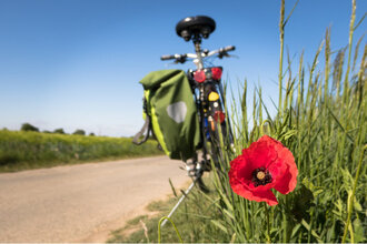 Fahrrad mit Helm und Packtasche am Wegesrand nahe dem Hotel Schwedi – roter Mohn im Vordergrund und Radweg durch grüne Naturkulisse unter blauem Himmel.