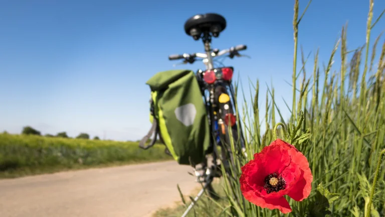 Fahrrad mit Helm und Packtasche am Wegesrand nahe dem Hotel Schwedi – roter Mohn im Vordergrund und Radweg durch grüne Naturkulisse unter blauem Himmel.