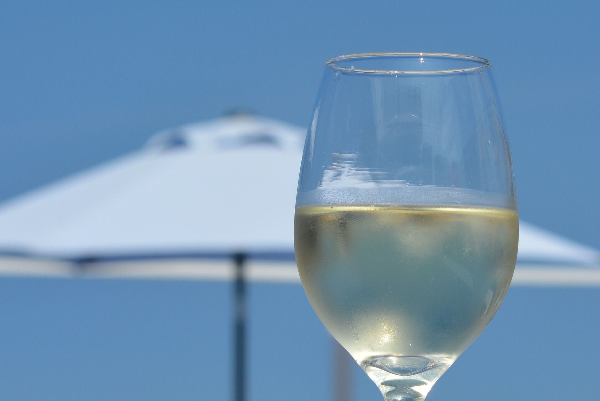 Ein Glas Weißwein ist im Vordergrund des Bildes. Im Hintergrund ist ein heller Sonnenschirm zu sehen.